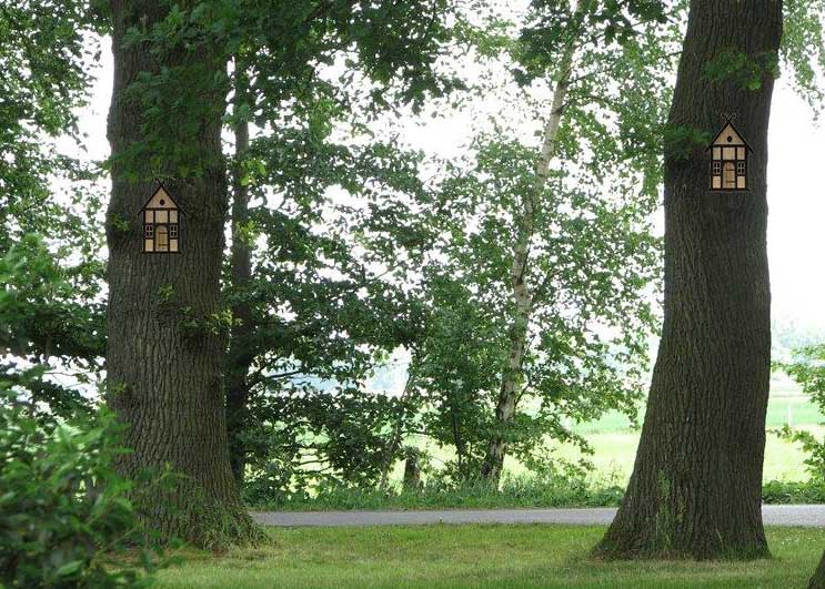 Zwei Fachwerk-Nistkästen hängen an den Stämmen zweier alter Eichen am Wegesrand
