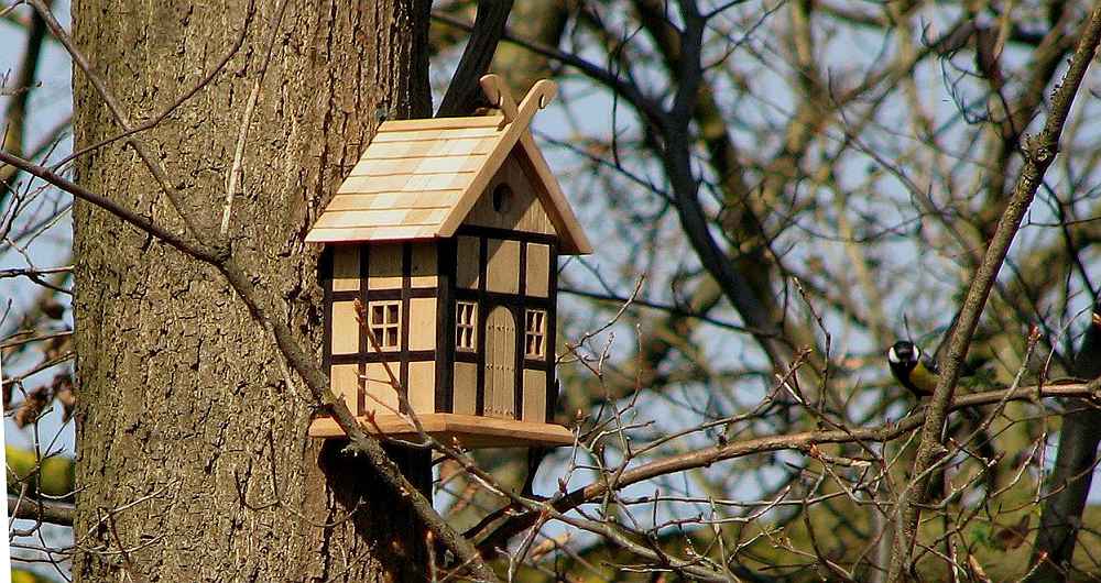 Fachwerk-Nistkasten seitlich am Baumstamm, im Hintergrund sitzt eine Kohlmeise auf einem Zweig