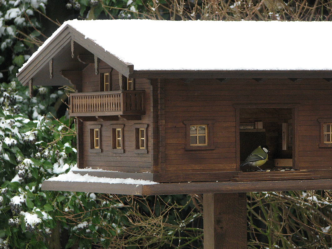 Vogelvilla aus Holz mit Schnee auf dem Dach und Blaumeise am Futterplatz im Winter